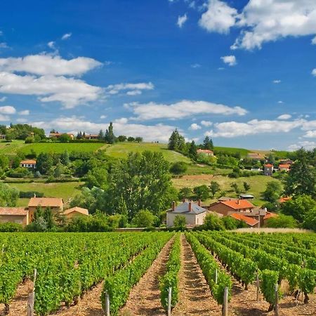 Appartamento T2 Tout Equipe Au Beau Milieu Du Centre Historique Villefranche-sur-Saône Esterno foto