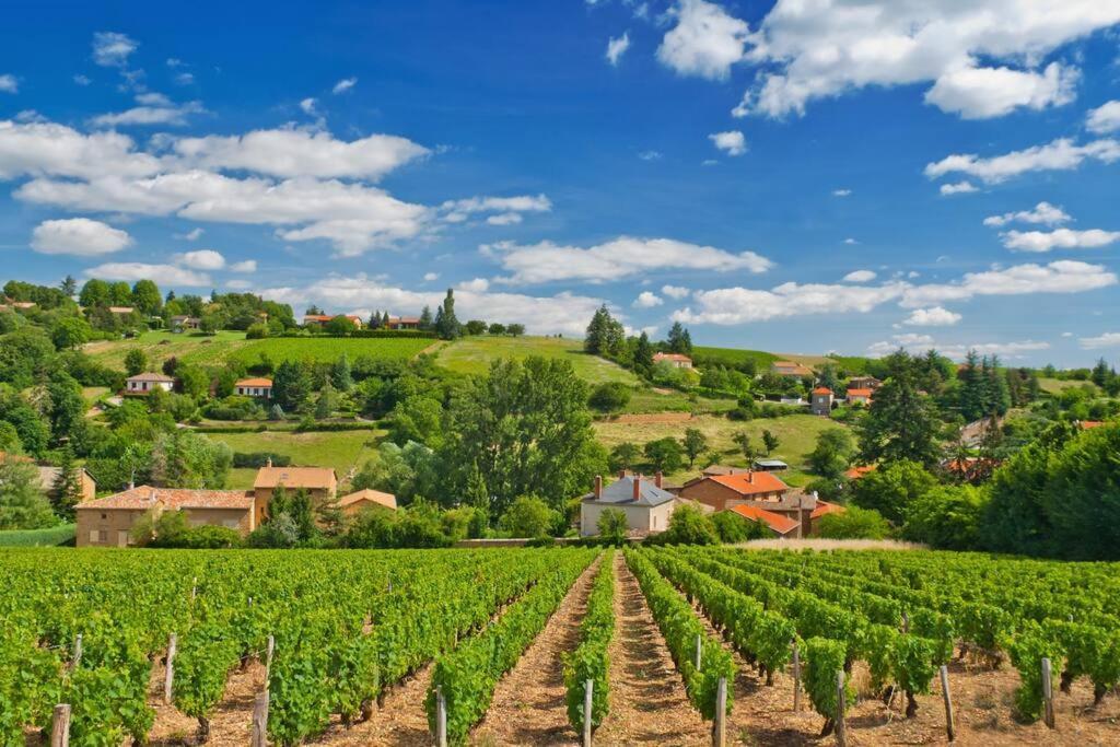 Appartamento T2 Tout Equipe Au Beau Milieu Du Centre Historique Villefranche-sur-Saône Esterno foto
